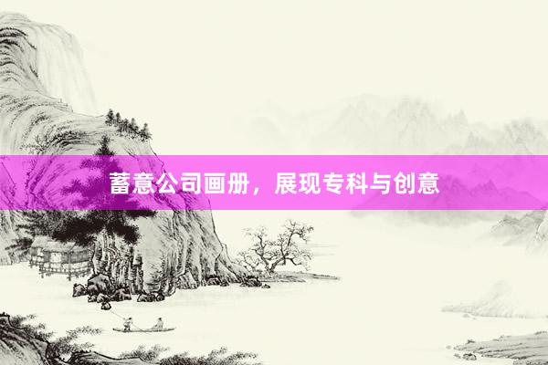 蓄意公司画册，展现专科与创意