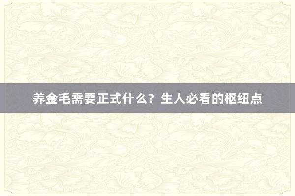 养金毛需要正式什么？生人必看的枢纽点