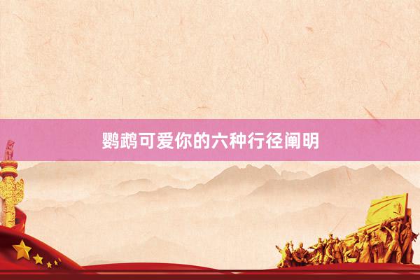 鹦鹉可爱你的六种行径阐明
