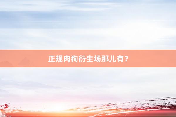 正规肉狗衍生场那儿有？